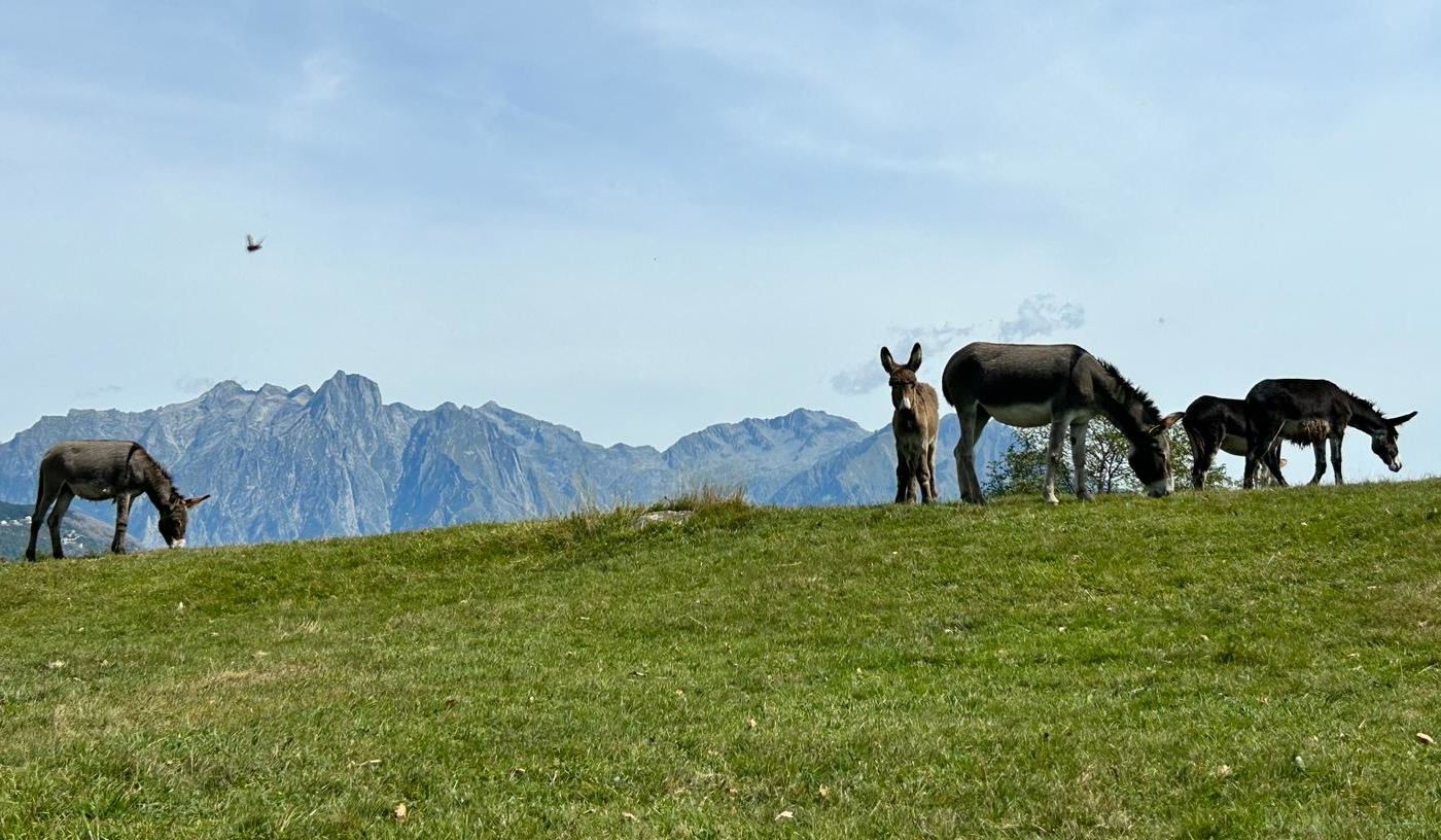 GM Trek Scegli l'escursione più adatta