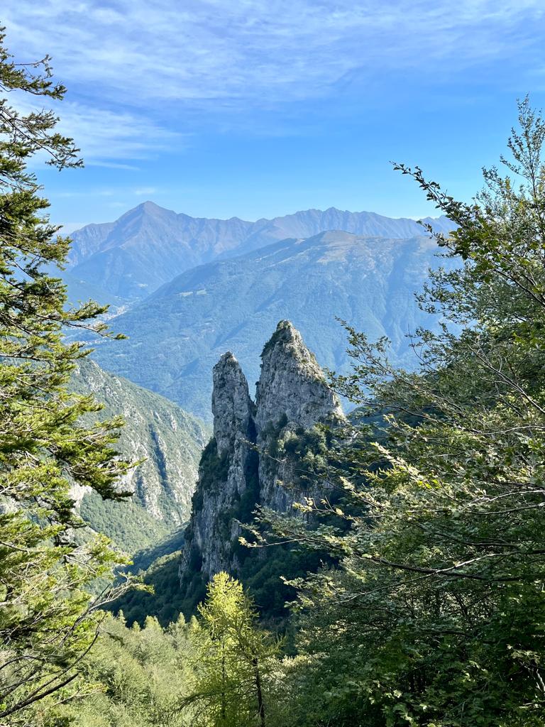 natura in grigna